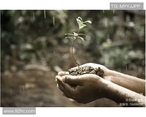张帆的奋斗历程与人生哲学探索如何在逆境中寻找成长的力量与智慧